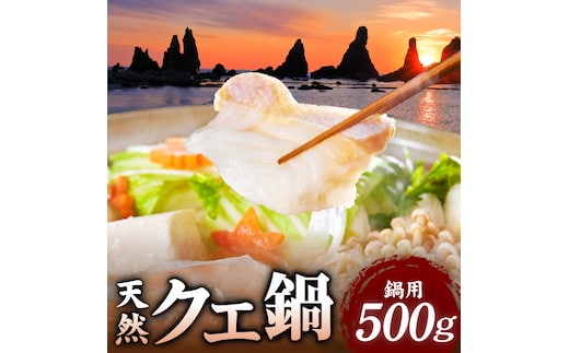 天然 クエ鍋 500g くえ鍋セット 幻の魚 魚 くえ鍋専門店 鍋用 上品 安定の品質 和歌山 湯浅町 _R1002