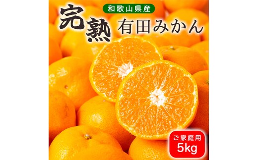 BG6106n_濃厚完熟！ 有田みかん 5kg (2S～Lサイズ混合 家庭用) 【送料無料】