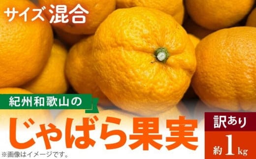 AB7033n_（国産）紀州和歌山の じゃばら 果実（訳あり ジャバラ 家庭用）1kg 国産 紀州 和歌山 じゃばら 果実 訳あり 家庭用