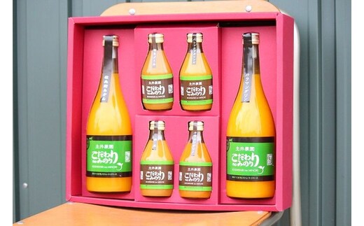 ZS6110_こだわりnoみのりジュース(贈答用) 詰め合わせセット 720ml×2 180ml×4