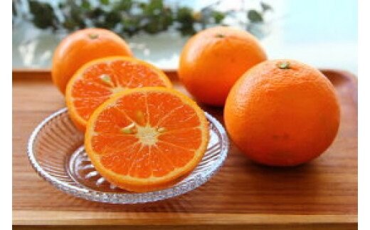 ZS6125n_高級カラマンダリン 5kg