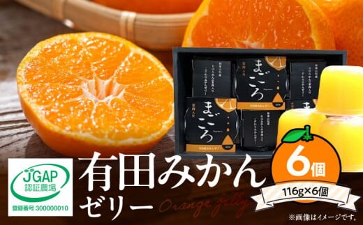 ZE6197n_有田みかんゼリー「まごころ」116g×6個入り（化粧箱入り）