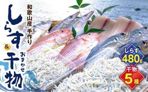 DL6002n_しらす ・ 干物 おまかせ詰め合わせ セット B