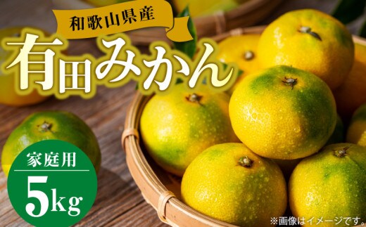 BL6111n_【2026年先行予約】【訳あり】和歌山県産 有田みかん 5kg