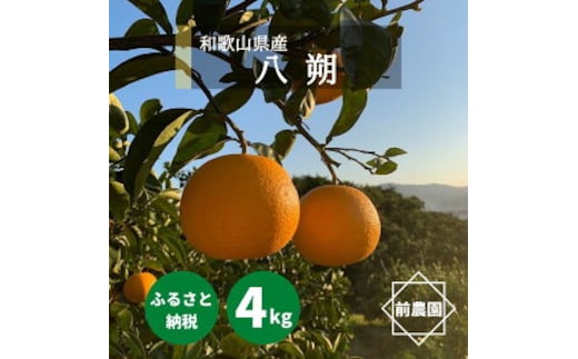 BL6113n_【2026年先行予約】【産地直送】和歌山県産 八朔 4kg (M～3Lサイズ)【はっさく ハッサク 八朔 和歌山産 柑橘 和歌山 有田】