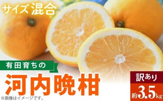 AB7041n_【2026年先行予約】有田育ちの 河内晩柑 【訳あり 家庭用】3.5kg (サイズ混合)【ミカン 蜜柑 灘オレンジ サウスオレンジ 柑橘 フルーツ 和歌山 有田】