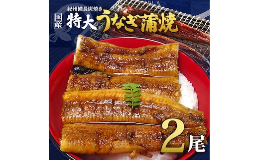 紀州備長炭焼き 特大 うなぎ 蒲焼き(国産)【鰻 ウナギ 丑の日 土用 蒲焼き 関西風 冷凍】_R6102