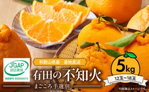 ZE6383n_【2026年先行予約】有田の不知火(しらぬひ) 5kg 12～18玉 （２L～４Lサイズ） 手選別 国産 有田のしらぬひ 産地直送 有田 有名 柑橘 果物 果実 フルーツ バランスの良い甘さ 甘い 食品 食べ物 あしのや お取り寄せ 和歌山県 湯浅町 送料無料
