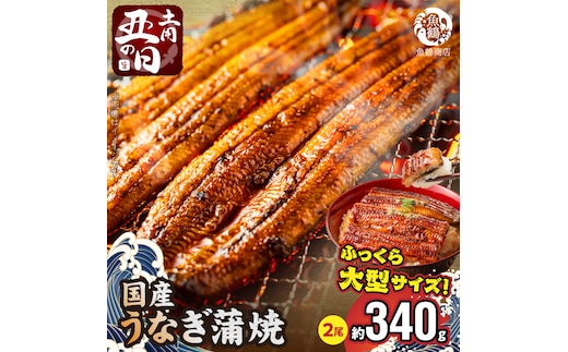 G7313_【土用の丑の日】＜7月26日までにお届け＞ふっくら柔らか 国産うなぎ蒲焼き 2尾