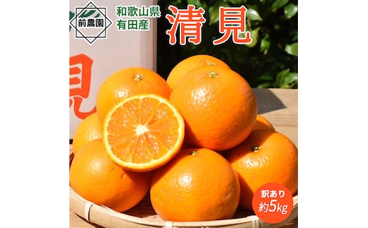 BL6158n_【先行予約】【2026年先行予約】 家庭用 清見 約 5kg S～3L サイズ混合 訳あり ほどよい 酸味 甘味 マッチ 食べやすい 産地直送 国産 みかん 柑橘 果物 フルーツ 果実 食品 食べ物 おやつ デザート お取り寄せ お取り寄せフルーツ 有田地方 和歌山県 湯浅町 送料無料