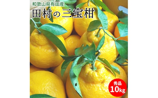 U6237n_田村の三宝柑（葉付き）秀品 約10kg 和歌山県有田産