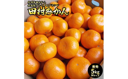 U6242n_「高級 田村みかん」 青秀 約5kg Mサイズ 和歌山県有田産 有田みかん