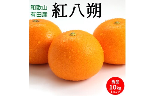 U6226n_【2026年先行予約】紅八朔 秀品 約10kg Lサイズ 和歌山県有田産