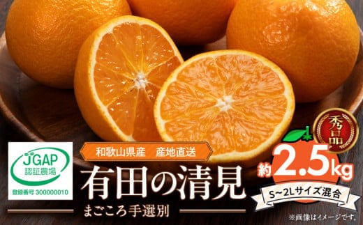 ZE6367n_【2026年先行予約】和歌山県産 有田の 清見 2.5kg (S～2Lサイズ混合)【まごころ手選別】