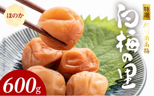 SF2005_特選紀州南高梅「白梅の里」ほのか 600ｇ