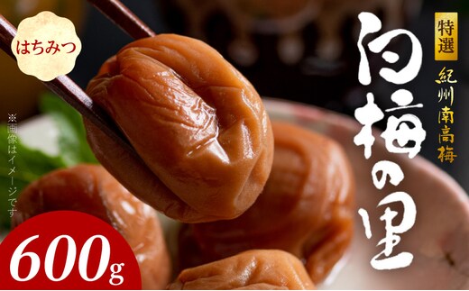 SF2007_特選紀州南高梅「白梅の里」はちみつ 600ｇ