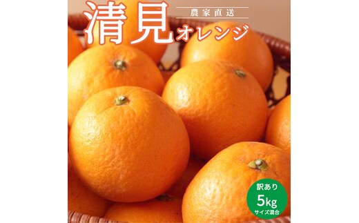 AN6107n_【2027年先行予約】清見オレンジ訳あり5kgサイズ混合