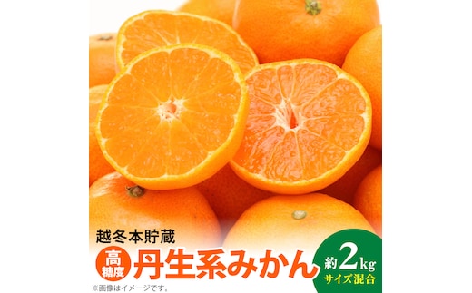 AB7067n_【高糖系みかん】越冬本貯蔵 丹生系みかん 約2kg