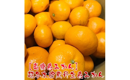 AB7068n_【高糖系みかん】越冬本貯蔵 丹生系みかん 約5kg