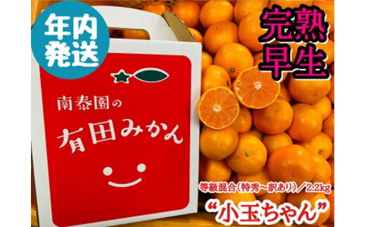 ZF6064n_≪年内発送≫【完熟早生・有田みかん】“小玉ちゃん”／等級混合・約2.2kg