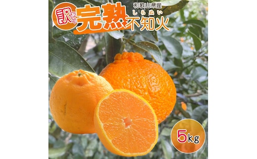 EA6107_【2027年先行予約】【訳あり・ご家庭用】 和歌山県産 完熟 不知火 5kg 甘酸っぱい味わいと芳醇な風味がたまらない高級柑橘 !