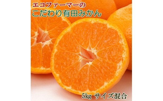 ZD92067_エコファーマーのこだわり 有田みかん 5kg (サイズ混合・秀・優品)【数量限定】