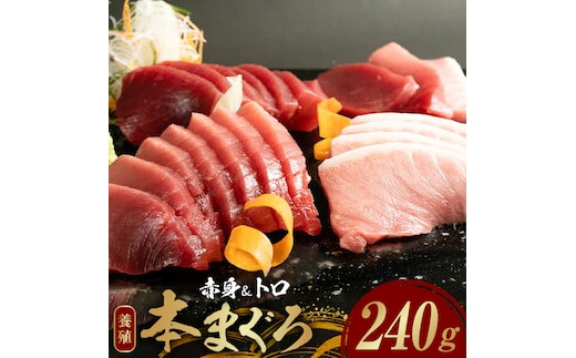 本マグロ （養殖） 赤身 ＆ トロ セット 240g_AZ6014n