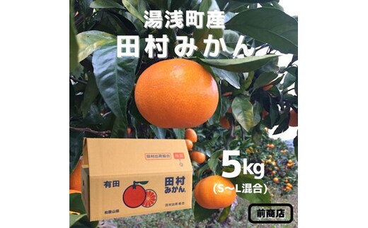 BL6013n_【産地直送】【2026年先行予約】和歌山 湯浅町産 田村みかん 5kg S～Lサイズ混合