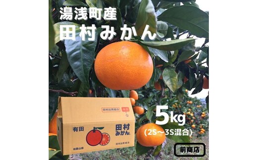 BL6014n_【2026年先行予約】【産地直送】和歌山 湯浅町産 田村みかん 5kg 2S～3Sサイズ混合