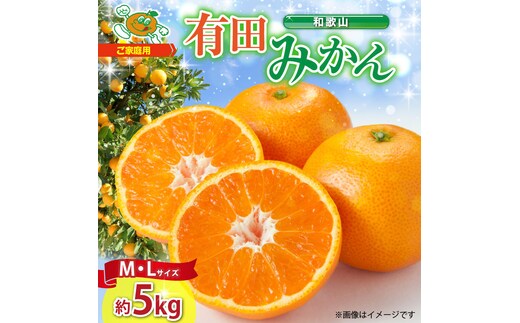 ZJ6083_ご家庭用 和歌山 有田みかん 約5kg (M、Lサイズ)【湯浅町】