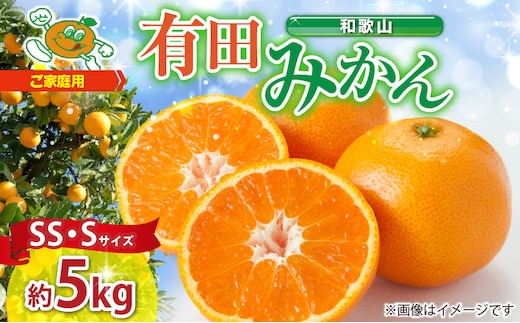 ZJ6097_果物ランキング1位獲得！ 総合ランキング6位獲得！TVで紹介されました！リピーター続出 みかん 温州みかん フルーツ 果物 柑橘 果実 甘味 酸味 ジューシー 人気 国産 食べ物 産地直送 和歌山県 湯浅町 送料無料 家庭用 和歌山 有田みかん 約5kg (SS、Sサイズ) 湯浅町