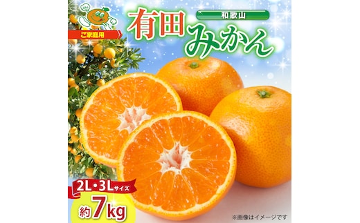 ZJ6090_【ふるさと納税】ご家庭用 和歌山 有田みかん 約7kg (2L、3Lサイズ)【湯浅町】