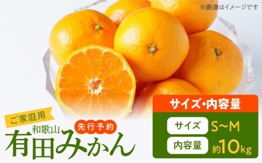 AT6322_ご家庭用 有田みかん 約10kg (S、Mサイズ)【湯浅町】