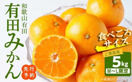 AT6304_ご家庭用 有田みかん 約5kg (M、Lサイズ)【湯浅町】
