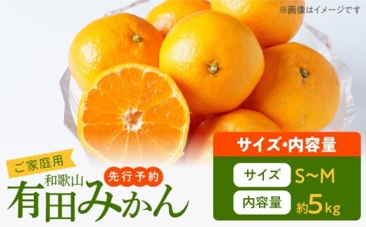 AT6321_ご家庭用 有田みかん 約5kg (S、Mサイズ)【湯浅町】