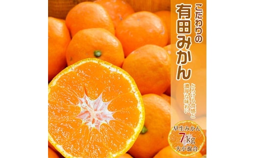 EA6030n_濃厚な味わいのこだわり 有田みかん 7kg (早生みかん・大小混合)