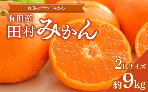 ZD7029_数量限定【ブランドみかん】田村みかん 約9kg (2Lサイズ)