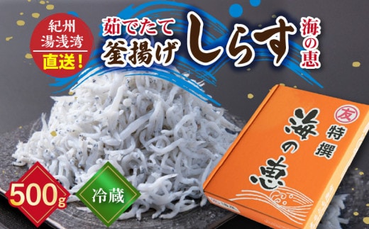 C6039n_【冷蔵】 茹でたて 釜揚げしらす 海の恵み 500g 紀州湯浅湾直送！【しらす干し ちりめんじゃこ シラス】
