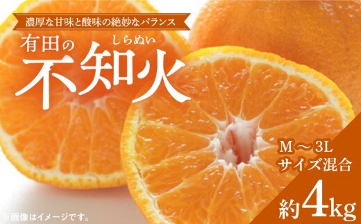 ZD6379n_【2026年先行予約】【濃厚】有田産不知火約4kg（M～3Lサイズ混合）
