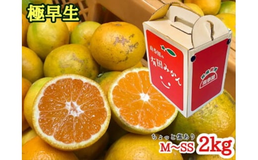 ちょっと傷あり【極早生・有田みかん】M～SSサイズ約2kg_ZF6304n