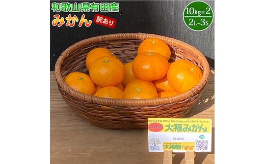 BT6009_和歌山県有田産 みかん 10kg×2箱 2L～3Sサイズ（おまかせ）【訳あり・家庭用】