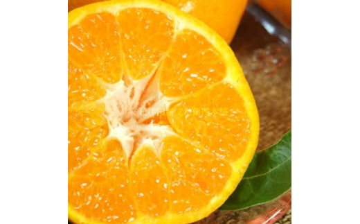 V7409_はるみ[約2.8kg]和歌山県有田産 春みかん(果実サイズおまかせ) 春柑橘 紀伊国屋文左衛門本舗