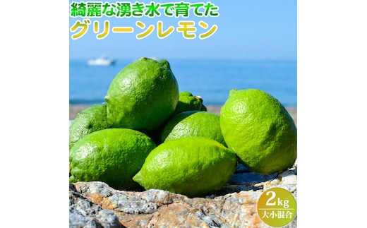 EA6042n_【2026年先行予約】綺麗な湧き水で育てた グリーンレモン 2kg (大小混合)
