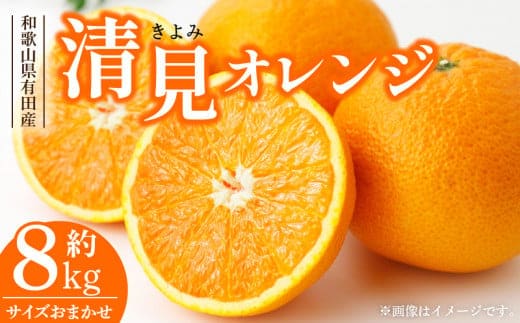 V7414_清見オレンジ[約8kg]和歌山県有田産 春みかん (果実サイズおまかせ) 春みかん 紀伊国屋文左衛門本舗 ※日時指定不可