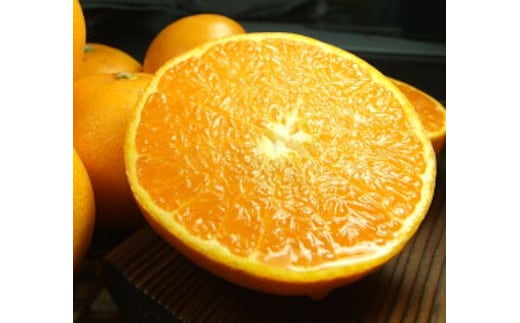 V7411_せとか 秀品 約2.8kg 和歌山県有田産 春みかん 春柑橘 (果実サイズおまかせ)/紀伊国屋文左衛門本舗