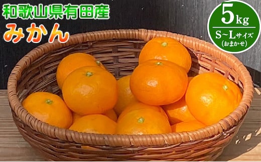 BT6011n_和歌山県有田産 みかん 5kg L～Sサイズ（おまかせ）