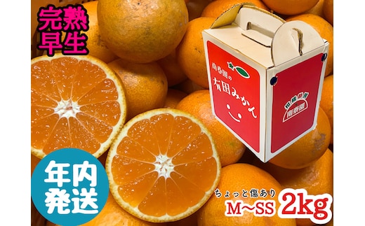 ZF6305n_ちょっと傷あり【完熟早生・有田みかん】M～SSサイズ 約2kg