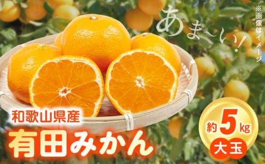 ZN6011n_（大玉）和歌山県産 有田みかん 5kg ひとつひとつ手選別で厳選！生産者から直送