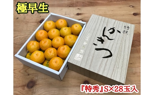 極早生 みかん 有田 化粧箱 小箱 特秀 Sサイズ 約2kg 28玉入 南泰園_ZF6022n