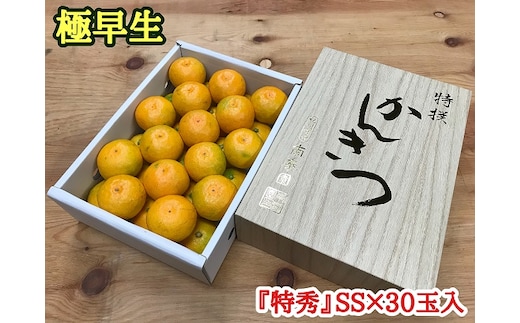 極早生 みかん 有田 化粧箱 小箱 特秀 SSサイズ 約2kg 30玉入 南泰園_ZF6024n